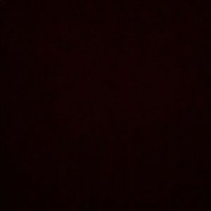 Meet your Posher, Ryder